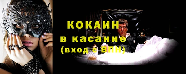 сатива Тобольск