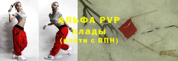 сатива Тобольск