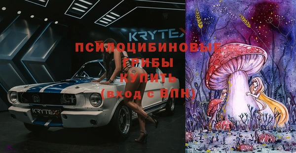 сатива Тобольск