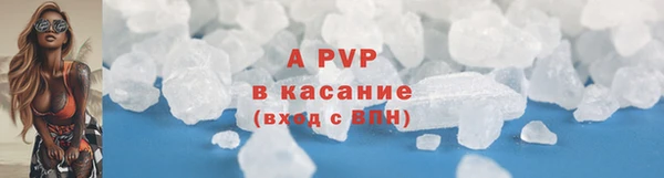 сатива Тобольск