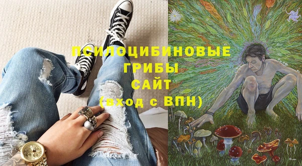 сатива Тобольск
