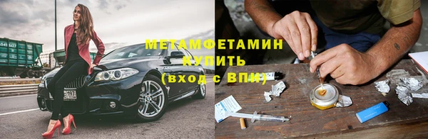 сатива Тобольск