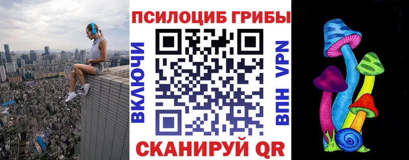 Купить где Каменка Галлюциногенные грибы Cubensis